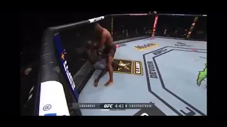 Francis Ngannou but 1 punch=1 ford escort