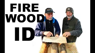 How to Identify Firewood - #612