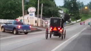 Amish Buggies