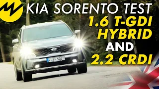 Kia Sorento 1.6 T-GDI Hybrid and Sorento 2.2 CRDi tested and compared | Motorvision