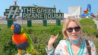 Стоимость Дубая и "The Green Planet"