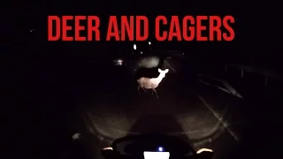 Deer, fog, and cagers (Kansai Rider Japan Motovlog 151)