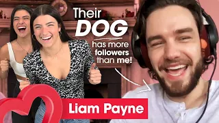 Liam Payne can't believe the D'Amelio's dog has more followers than him!