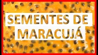 Os 12 Benefícios das Sementes de Maracujá Para Saúde ⚡ | Dicas de Saúde