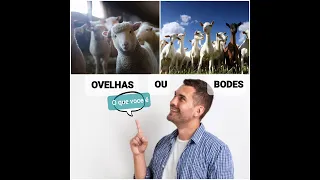 ENTENDA O SIGNIFICADO DA  SEPARAÇÃO ENTRE AS OVELHAS  E OS BODES PARÁBOLAS DE JESUS