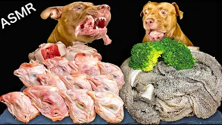 ASMR MUKBANG PITBULL EATING RAW FOODS CHICKEN HEADS HORSE MEAT