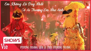 Phượng Hoàng Lửa x Tiểu Phượng Hoàng - Em Không Là Duy Nhất & Có Ai Thương Em Như Anh quá xuất sắc