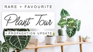 Favourite + Rare Houseplant Collection TOUR! 🌱 Bedroom Plant Tour 🌿 Indoor Plant Tour 2021