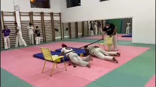 Capoeira Didática