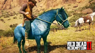 O domador de cavalos - DOMANDO O NOKOTA AZULADO - Red Dead Redemption 2