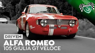 Phil's Alfa Romeo 105 Giulia GT Veloce 1600 | DRIVEN | Ep 15