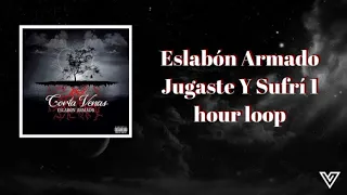 Jugaste Y Sufrí 1 hour loop(no ads)