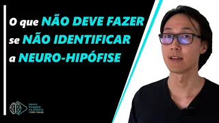 O QUE NÃO DEVE FAZER SE NÃO IDENTIFICAR A NEURO HIPÓFISE