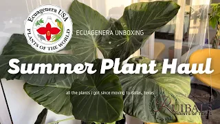 Summer Plant Haul || My First Plant Haul Since Moving || Ecuagenera Unboxing