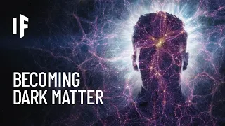 What If You Were Made of Dark Matter?