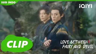 Dongfang membantu Anggrek menangkap monster | EP6 | Love Between Fairy and Devil | iQIYI Indonesia