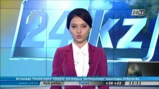«Алматы-Шарджа» ұшағы бортынан 24 ителгі табылды