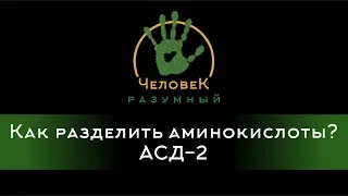 Как разделить аминокислоты? АСД-2 ("Человек-Разумный", 2016)