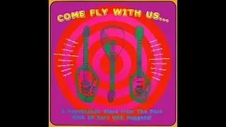 Come Fly With Us   A Psychedelic Blast from the Past with 18 Rare USA Nuggets!