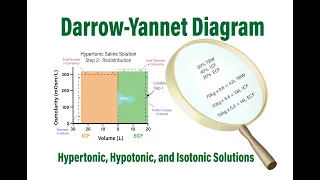 Darrow-Yannet Diagram:  Hypertonic, Hypotonic and Isotonic Solutions