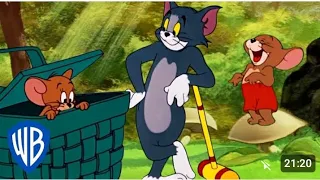 TOM & JERRY Tom and jerry cartoon | Bellyache | WB Kids /looney tunes, tom and jerry, For KIDS Baby