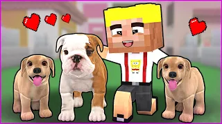 EFEKAN'IN KÖPEĞİ'NİN YAVRULARI OLDU! 🥰 - Minecraft