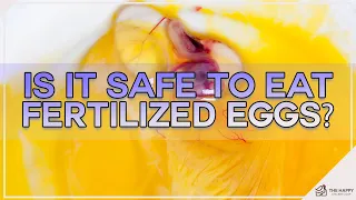 Is It Safe To Eat Fertilized Eggs