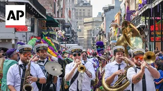 Bosom Buddies continue Mardi Gras celebration