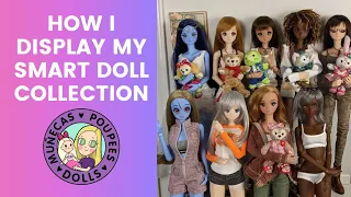 How I Display My Smart Doll Collection