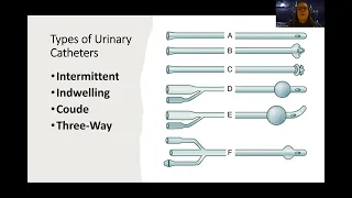 Adult Med/Surg: Urinary Catheters NEW Lecture