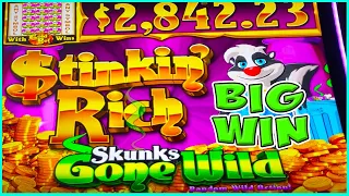 WE PUT ALL OUR MONEY IN TO STINKIN RICH SKUNKS GONE WILD & GOT A  BIG WIN