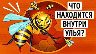 Раскрытый улей: Царство природы + Чудеса животных!