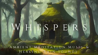 Whispers of the Woods🌿: Ambient Meditation Music & Healing Rain Sounds ✨