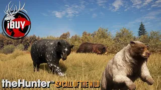 Dropping THREE Black Bear GREAT ONES Without RELOADING!!!! | theHunter: Call of the Wild