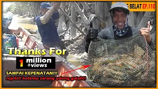 sampai keletihan!!hari ini ketemu sarang udang galah yang luar biasa melimpah #110