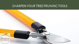 Sharpening Tree Pruning Tools 🪚🌳 🧰 with OrchardPeople.com