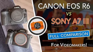 Canon EOS R6 vs Sony A7 III Full Comparison, Part 2: All About Video