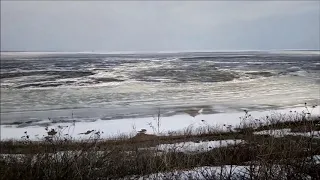 Лёд тронулся! Ледоход на средней Волге! On the Volga River, the ice was broken.