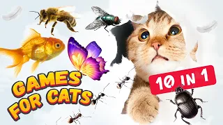 10 in 1 REALISTIC CAT GAMES MIX | Video for Cats with Worm, Fish, Bee, Feather, etc.