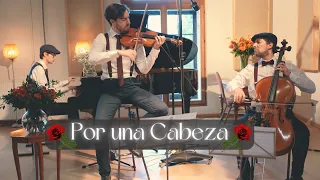 Por una Cabeza🌹(Scent of a Woman | The Tango) Violin, Cello & Piano