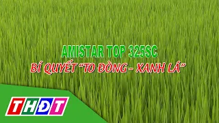 VFC Cánh đồng hội nhập 2024 kỳ 7 | Amistar Top 325 SC - Bí quyết "To đòng - Xanh lá" | THDT