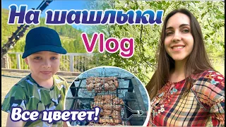 Влог | Горный Алтай | Отдых на природе | Ороктойский мост
