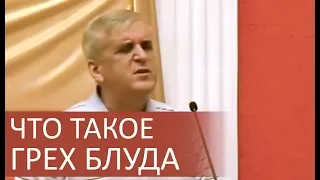 Что такое грех БЛУДА (любодеяния, прелюбодеяния, порнография) - Виктор Куриленко