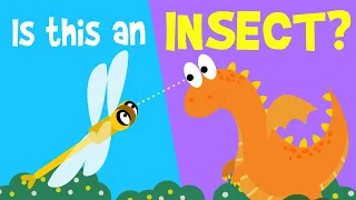 I Love Insects! | Insect Song For Kids | Wormhole English