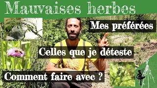 mauvaises herbes