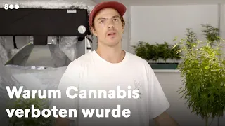 Warum der Konsum von Cannabis verboten wurde