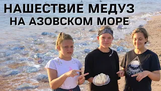 НАШЕСТВИЕ МЕДУЗ на Азовском море! Ужалила медуза! Настоящий МЕДУЗОПОКАЛИПСИС!