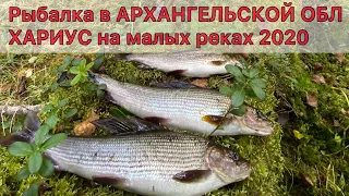 РЫБАЛКА в Архангельской области 2020. ХАРИУС на малых реках