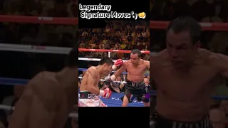 Unleashing the Pacman: The Power and Precision of Manny Pacquiao's Signature Moves