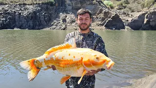 THE MOST COMPLICATED FISHING OF MY LIFE !, 5 days in search of koi. LOOK WHAT THIS WAS !!!